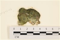 登錄號:A00005781藏品圖，第1張