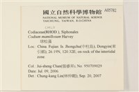 登錄號:A00005782藏品圖，第2張