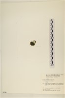 登錄號:A00005782藏品圖，第3張