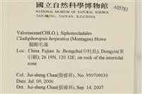 登錄號:A00005783藏品圖，第2張