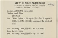 登錄號:A00005785藏品圖，第2張