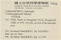 登錄號:A00005786藏品圖，第2張