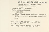 登錄號:A00005787藏品圖，第2張