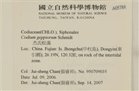 登錄號:A00005788藏品圖，第2張