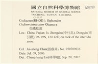 登錄號:A00005789藏品圖，第2張