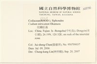 登錄號:A00005790藏品圖，第2張