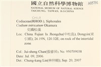 館號:A00005791藏品圖，第2張