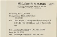 登錄號:A00005796藏品圖，第2張