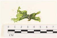 登錄號:A00005796藏品圖，第1張