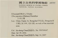 登錄號:A00005797藏品圖，第2張