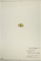 登錄號:A00005798藏品圖，第3張