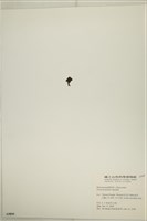 登錄號:A00005899藏品圖，第3張