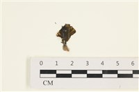 登錄號:A00005899藏品圖，第1張