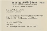 大石蓴, 石蓴藏品圖，第2張