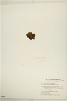 登錄號:A00005925藏品圖，第3張