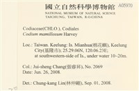 登錄號:A00005970藏品圖，第2張