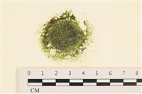 登錄號:A00005971藏品圖，第1張