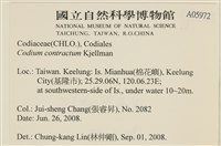 登錄號:A00005972藏品圖，第2張