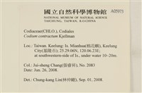 登錄號:A00005973藏品圖，第2張