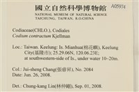 登錄號:A00005974藏品圖，第2張