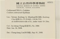 登錄號:A00005975藏品圖，第2張