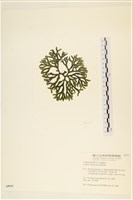 登錄號:A00005975藏品圖，第3張