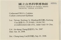 登錄號:A00005976藏品圖，第2張