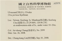 石蓴藏品圖，第2張