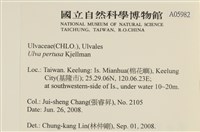 石蓴藏品圖，第2張