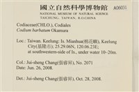 登錄號:A00006031藏品圖，第2張