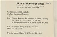 登錄號:A00006032藏品圖，第2張