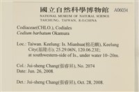 登錄號:A00006034藏品圖，第2張