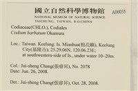 登錄號:A00006035藏品圖，第2張