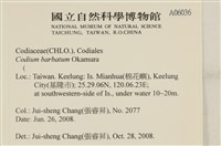 登錄號:A00006036藏品圖，第2張