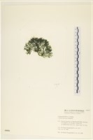 登錄號:A00006036藏品圖，第3張