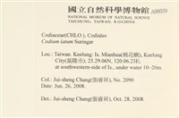 登錄號:A00006039藏品圖，第2張