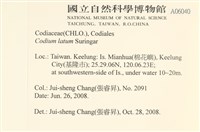登錄號:A00006040藏品圖，第2張