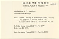 登錄號:A00006042藏品圖，第2張