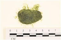 登錄號:A00006084藏品圖，第1張