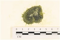 登錄號:A00006085藏品圖，第1張