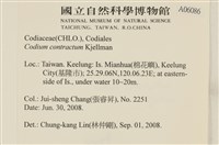 登錄號:A00006086藏品圖，第2張