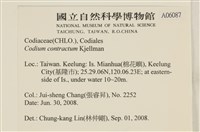 登錄號:A00006087藏品圖，第2張