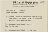 登錄號:A00006111藏品圖，第2張