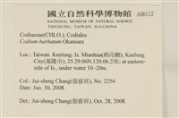 登錄號:A00006112藏品圖，第2張