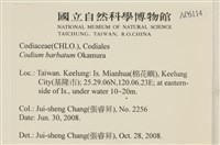 登錄號:A00006114藏品圖，第2張