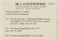 登錄號:A00006115藏品圖，第2張