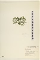 登錄號:A00006115藏品圖，第3張