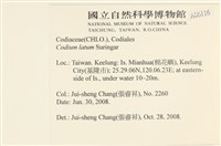 登錄號:A00006116藏品圖，第2張