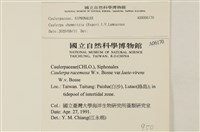 登錄號:A00006170藏品圖，第2張