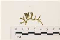 登錄號:A00006170藏品圖，第1張